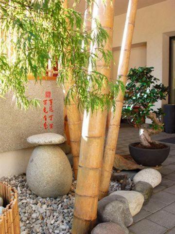 Garni Cremona Bed & Breakfast Bressanone Eksteriør bilde